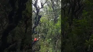 Jadi apa alasan kamu mendaki gunung? #mountains #pendaki #travel #hiking #jalan #video #shorts #fyp