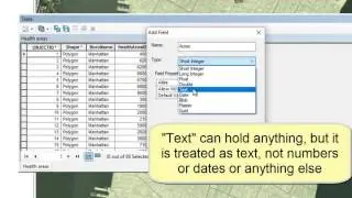 Field Types in ArcMap