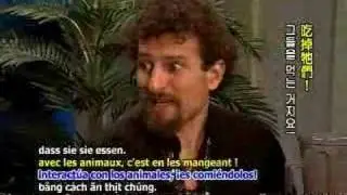 Ultimate Smoothie with David Wolfe 3