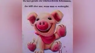 Schöne und lustige Bilder