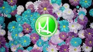 С 8 Марта ТВ мост HD