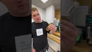 Камбуча это квас