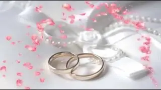 Свадьба и ВидеоСпинер