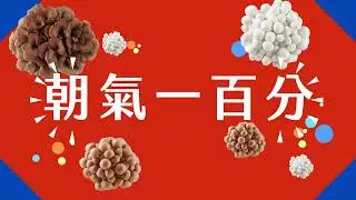 2024 好菇道《Good Good菇篇》