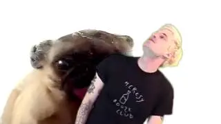 Licking Pewdiepie | Pewdiepie GreenScreen Competition