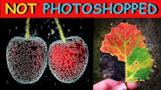 Incredible Photos You Won’t Believe Are Not Photoshopped