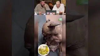 BEST DOG Prank! 😂 🤣