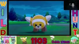 Stunning Stufful Found!!
