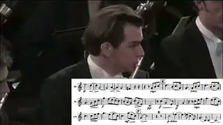 Johannes Brahms - Symphony No.1, Op.68 - solo French horn in E - II. Andante sostenuto