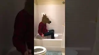 Man-horse turns car alarm into drum beat with a bucket