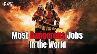 Most Dangerous Jobs in the World | Risky Professions in 2024