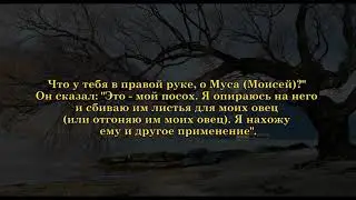 Сиратулло Раупов | Сура «Та-Ха» (6-37)