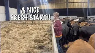 TIME FOR A FRESH BED!!