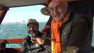 Aktüel - İstanbul İstavrit Avı