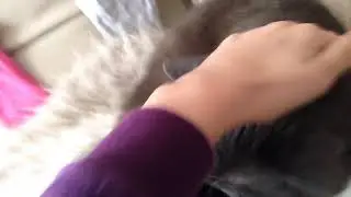 Мурзилка 2 часть