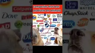 Companies that test products on animals 