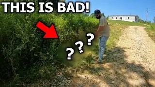 Our New House is Being OVERRUN!! *time to fix it*