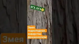 ЕГЭ 2025.Рус.яз. #егэна100 #какнаписатьсочинение#змеяподколодная