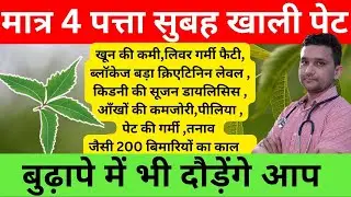 ये तीन पत्ते रोज़ खा के आप खुद को 80%बिमारियों से बचा सकते हैं ये पत्ता है कई गंभीर बिमारियों का इलाज़