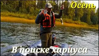 В поиске хариуса