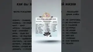 Как ? 😻