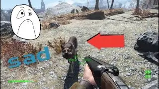 I LOST MY DOG!!!