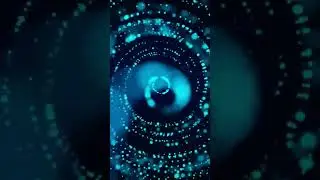 Кто такие Bee Gees?