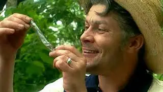 14 Смотрины 2000