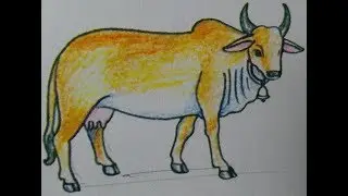 How To Draw a cow Step By Step very Easy॥गाय का चित्र कैसे बनाये