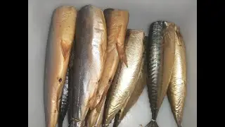 Is it more profitable to make money from fish processing or meat processing?