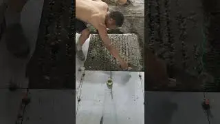 Tile installation P5818#shorts