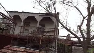 Опрыскивание АБРИКОСА от монилиоза. Обрезка и формировка