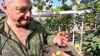 3.10.Красим тележки для СВО. Ласточкины гнезда.