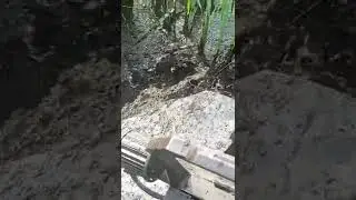 #каракет