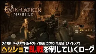 【DADM】ヘッショで乱戦を制していくローグ（５キル）【ダクモバ】