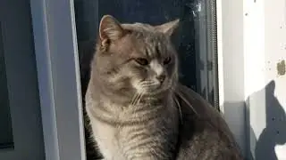 Про казан! Мастер Андрей уехал🥺