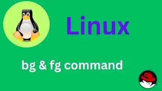 20/50 Basic Linux Commands | bg and fg command Explained 