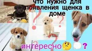 что нужно для появления собаки в доме?//Говорящая 🐕 Лео мокрый нос 💗