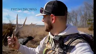 Iowa SHED ANTLERS!!! Starting off RIGHT!!