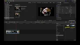 How to Reverse a Clip in FCP by Liam