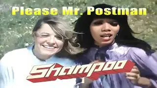 Shampoo - Please Mr. Postman