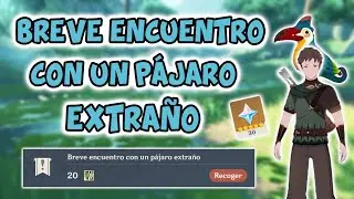 🦜 GUIA MISIÓN OCULTA 