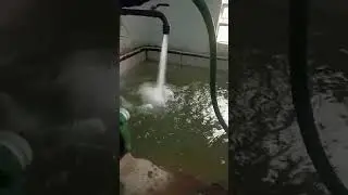 prueba de bomba de agua  con 132 voltios #mantenimientoelectrico