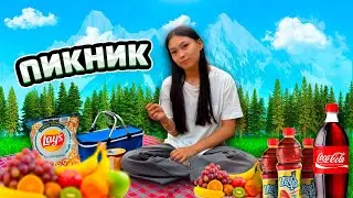 АТҚА МІНДІК 🐎 | ПИКНИККЕ ШЫҚТЫҚ🧺 | ВЛОГ