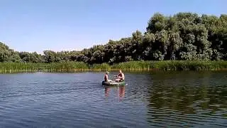 Природа Волгограда