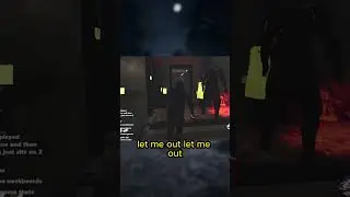 The Best Trapper in DBD...
