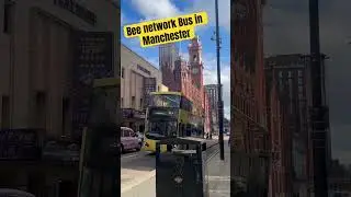Bee network bus | bee network | busbee network |  busesbee network | bus ride