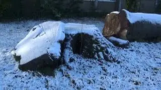 Mild Snow Over Antwerp