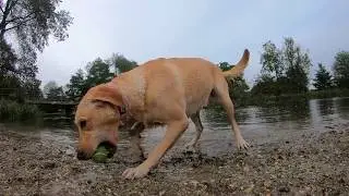 GoPro Hero 6 Black sample video at 1080p at 240fps