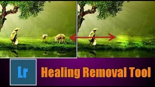 Remove 🖍 Any Objects Using Lightroom Mobile | Spot (Healing) Removal Tool 🛠